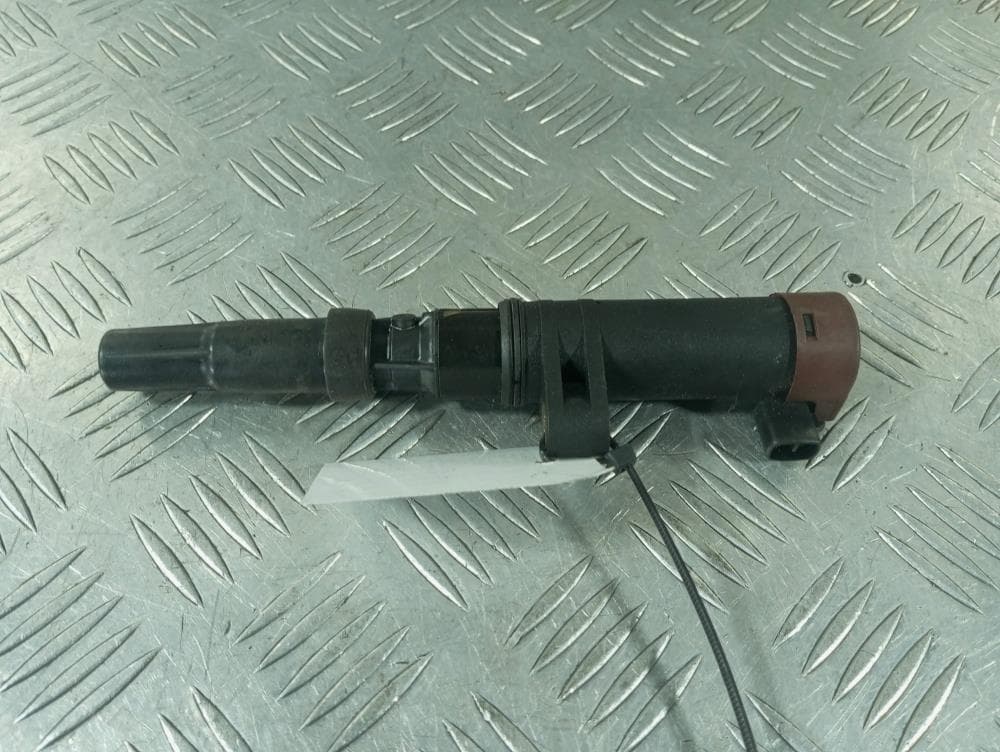 Катушка зажигания к Renault Megane 2 (02-06)