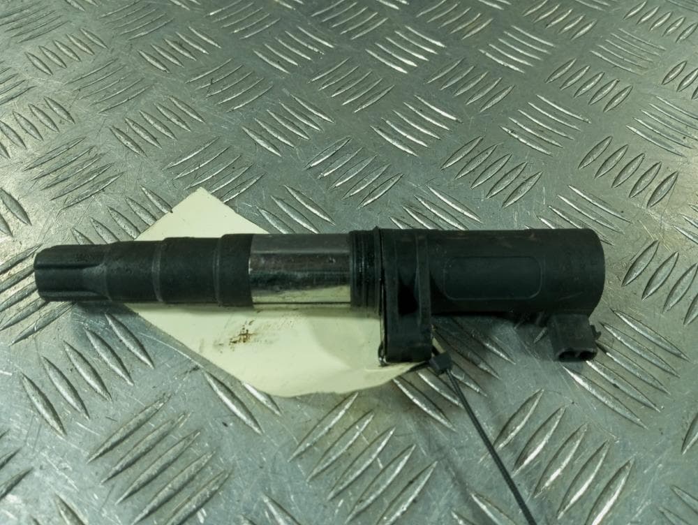Катушка зажигания к Renault Scenic 2 (03-06)