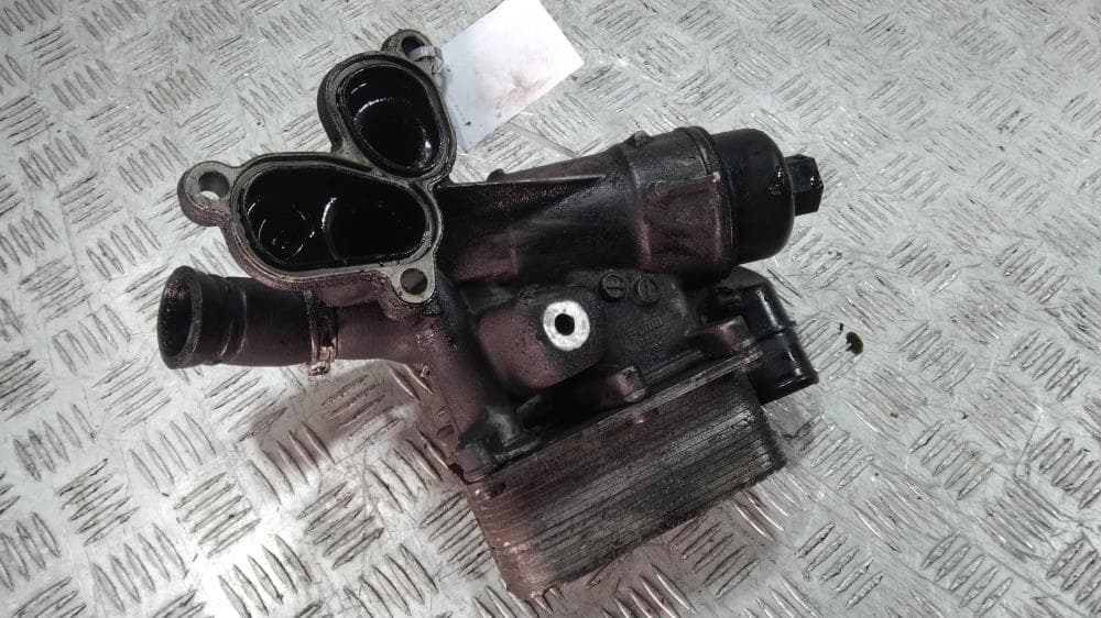 Корпус масляного фильтра к Renault Scenic 2 Рестайлинг (06-09)